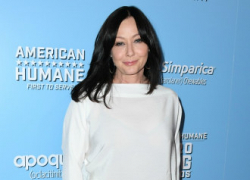 Brian Austin Green Hails 'Strong' And 'Honest' Shannen Doherty